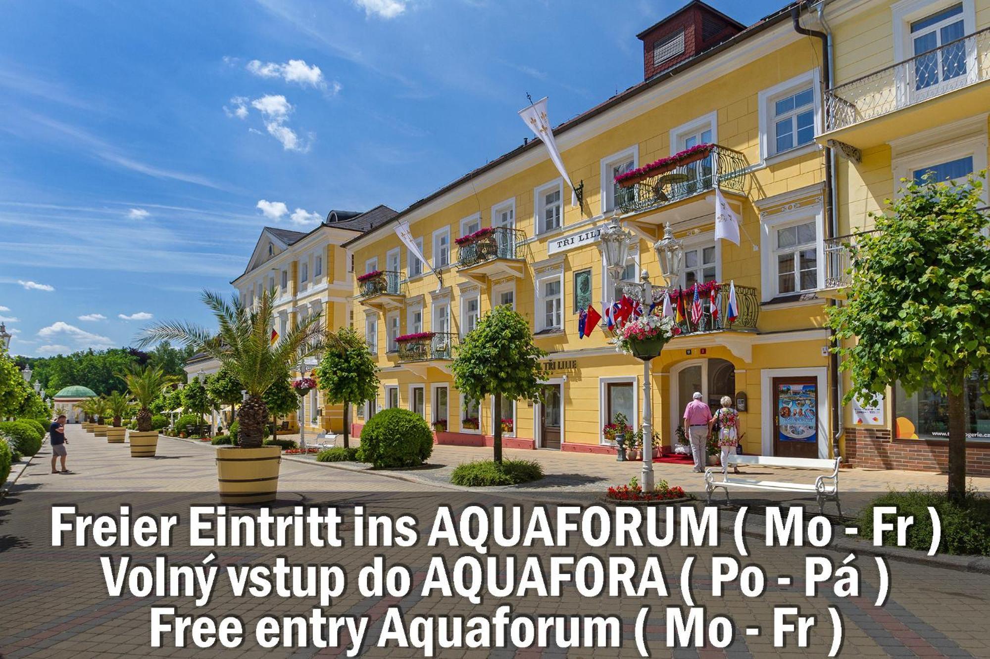 Hotel Three Lilies Inkl Aquaforum Františkovy Lázně Kültér fotó